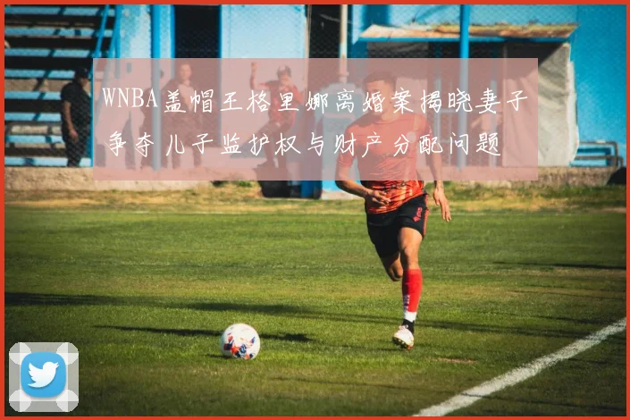 WNBA盖帽王格里娜离婚案揭晓妻子争夺儿子监护权与财产分配问题