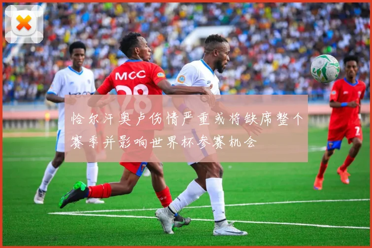 恰尔汗奥卢伤情严重或将缺席整个赛季并影响世界杯参赛机会