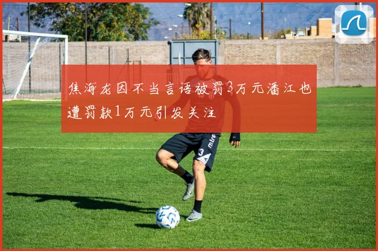 焦海龙因不当言语被罚3万元潘江也遭罚款1万元引发关注